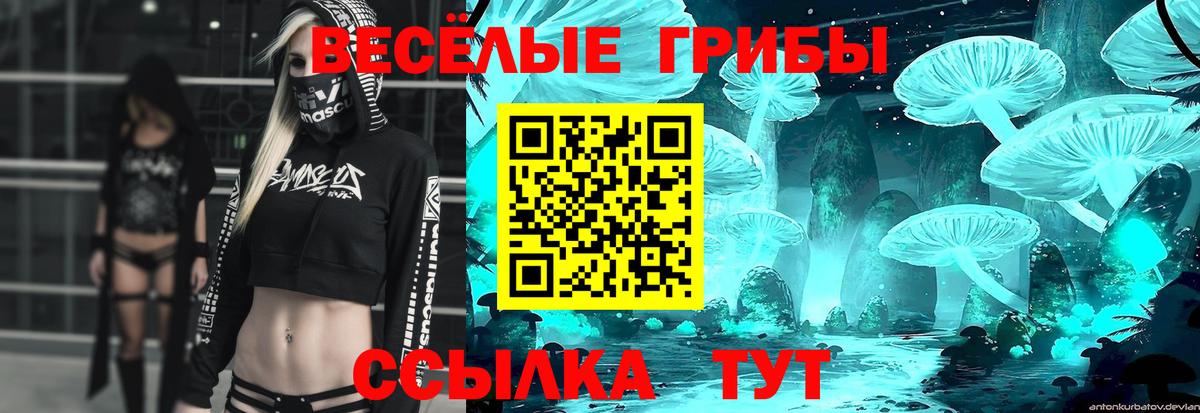 Псилоцибиновые грибы Cubensis Куйбышев