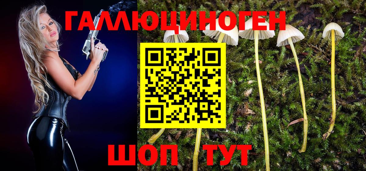 Псилоцибиновые грибы мицелий  Вход с VPN  Псилоцибиновые грибы Cubensis  где купить наркоту  Куйбышев 